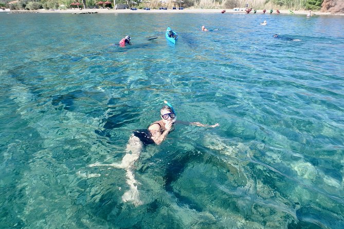 Sea Kayak Epidavros - Ancient Sunken City Tour - Wildlife, Guides, and the Type of Day That Sticks With You