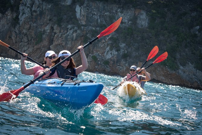 Sea Kayaking in Navarino Bay - Key points to know before you go
