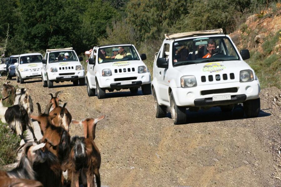 Self-Drive Jeep Safari to South Coast, Palm Beach & Canyons - Ligres Beach: The Swim Break You’ll Be Glad You Planned For