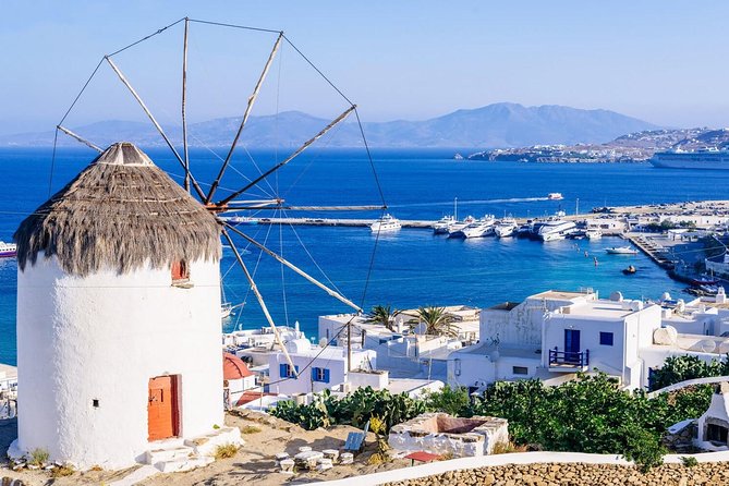 Sightseeing like a Mykonian(Small Group or Private) - Key highlights worth planning around