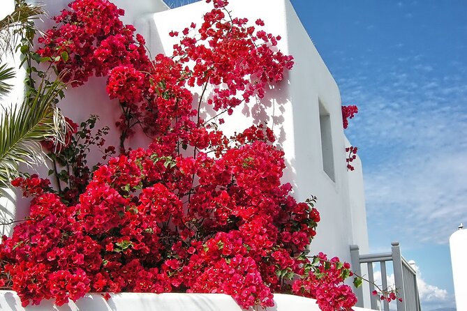 Sightseeing like a Mykonian(Small Group or Private) - Paraportiani Church: a quick look with good guidance