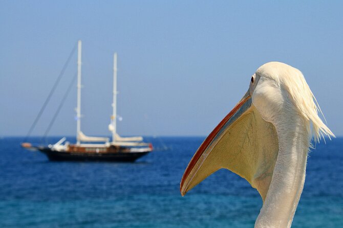 Sightseeing like a Mykonian(Small Group or Private) - Ano Mera village and Panayia Tourliani: a reset from the postcard rush