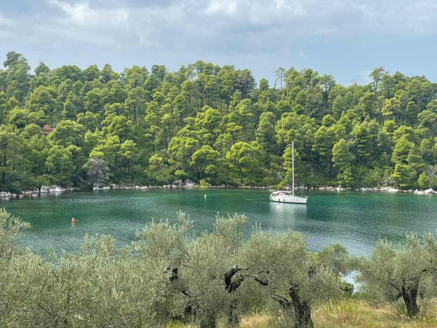 Skopelos: Mamma Mia Filming Locations Tour - What you gain from an English-speaking local guide like Manolis
