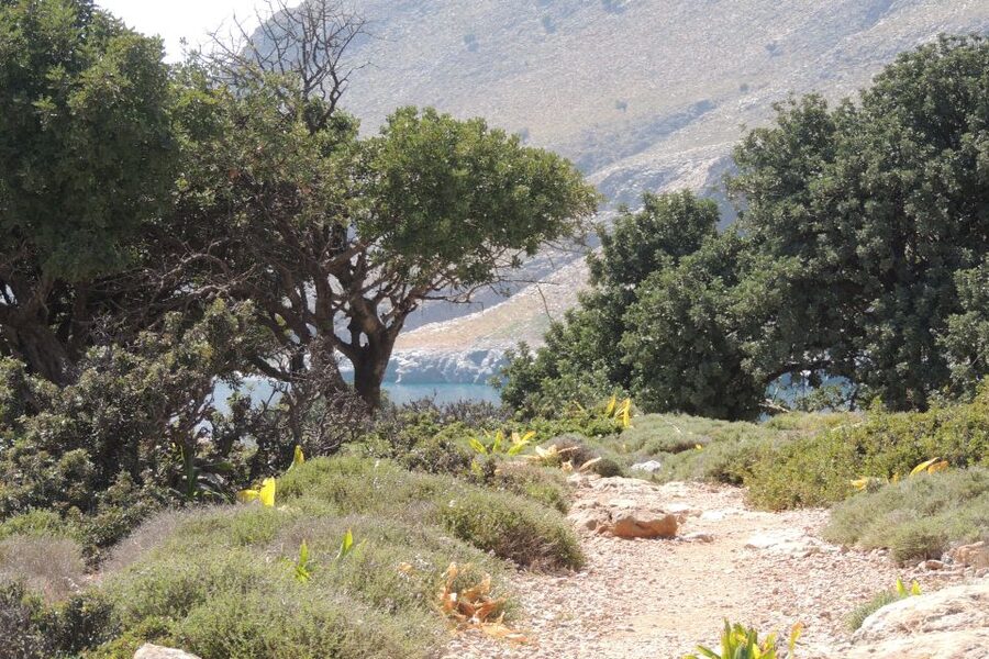 South Crete: Sarakinas Gorge Hike, Swim & Jeep Safari - Jeep safari route, the real reason this day feels full