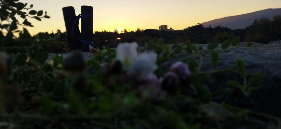 Sunrise Yoga & Meditation Acropolis & 360 view - Meditation After Movement: Why the Setting Helps