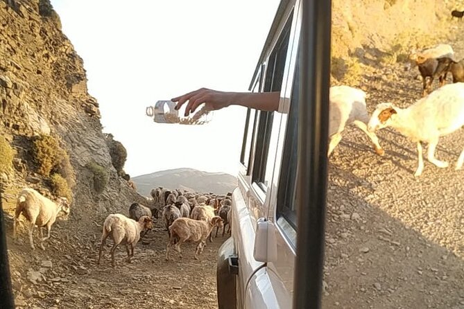 Sunset Jeep Tour in Crete - 4WD Driving, Guides, and Why the Vibe Matters for Value
