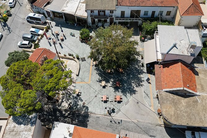 The 7 Villages of Apokoronas Tour - Explore East Chania Mainland - Stop 4, Emprosneros: olive oil tasting with bread, cookies, and Cretan biscuits