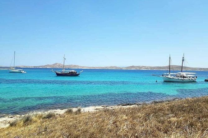 The Authentic Rhenia-Delos Cruise - On Board Experience: Safety, Energy, and the Return Party