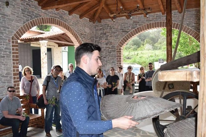 The Governor's Olive Mill Tour with Olive Oil Tasting - Old Olive Tree and Fort Stops: Corfu Flavor Beyond the Mill