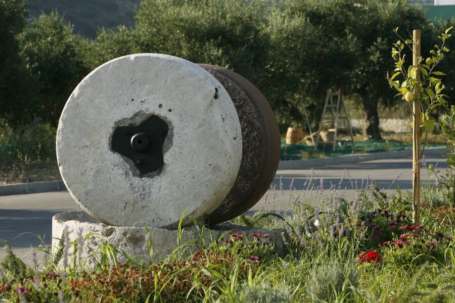 The Terra Creta Olive Oil Experience Tour - The tasting of 3 olive oils: where the tour turns from info to skill