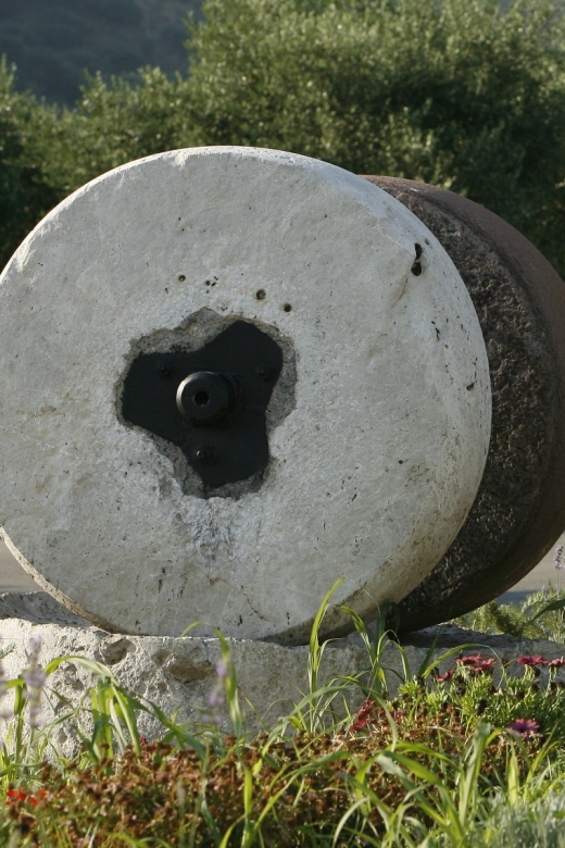 The Terra Creta Olive Oil Experience Tour - Getting there from Chania or Kissamos without stress