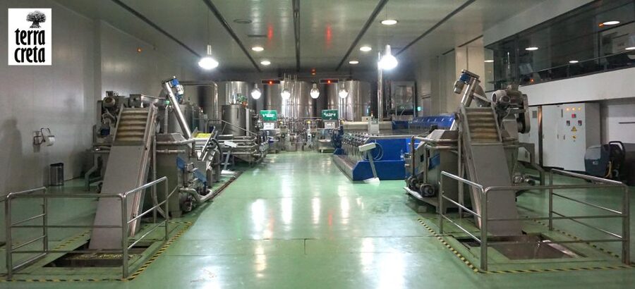 The Terra Creta Olive Oil Experience Tour - Who should book this tour, and who might want a different style