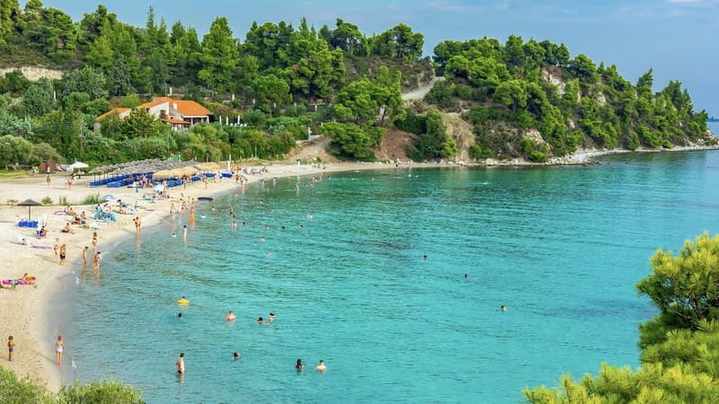 Thessaloniki: Halkidiki/Sithonia Swim, Sunset & Olive Tour - Nea Elvetia Metro logistics, timing, and what the schedule feels like