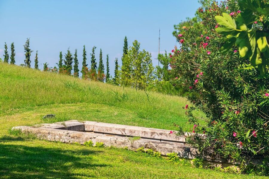 Thessaloniki: Vergina and Pella Day Trip - New Museum of Aigai: Alexander, phalanx gear, coins, and elite life