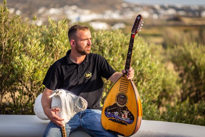 Tour and Wine Tasting in Mykonian Land - Price and value on Mykonos: why $82 can still feel fair