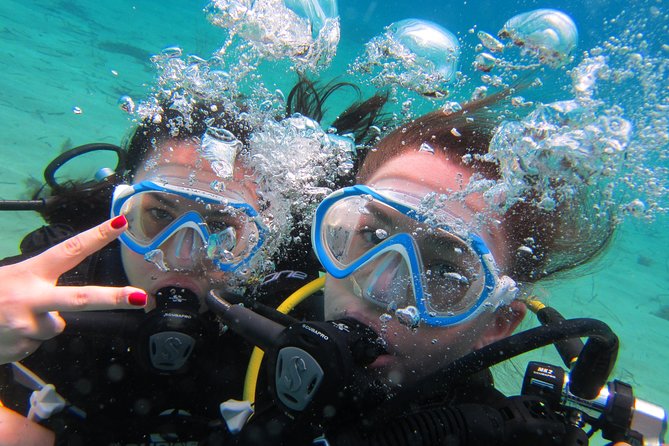Try a DIVE, discover scuba diving in Mykonos - Key highlights worth planning around