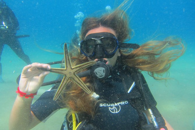 Try a DIVE, discover scuba diving in Mykonos - The 90 minutes: exactly how your lesson usually unfolds