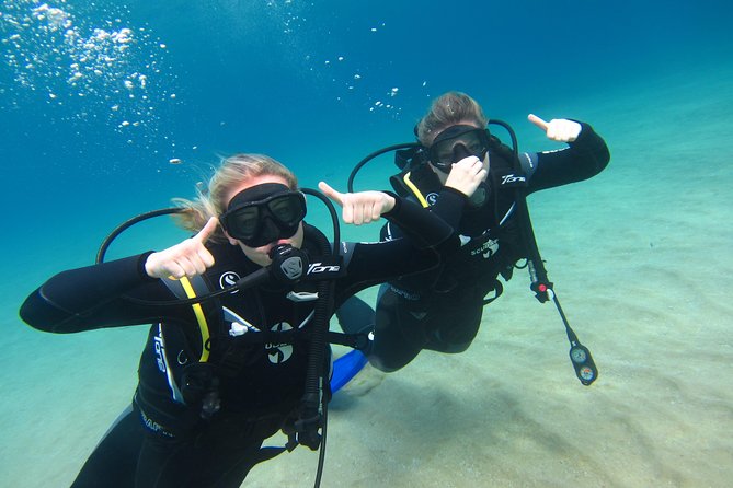 Try a DIVE, discover scuba diving in Mykonos - Depth, visibility, and the marine life reality check