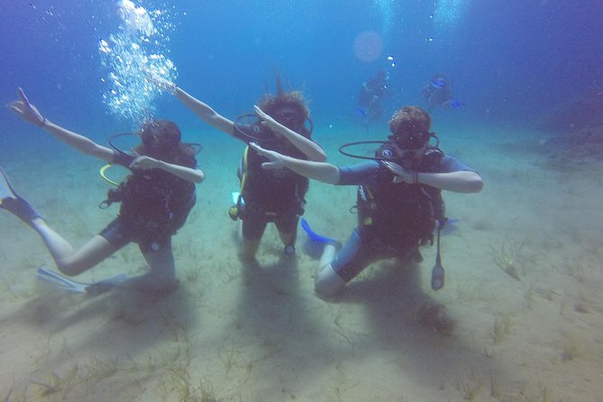 Try a DIVE, discover scuba diving in Mykonos - Price and value: what you are really paying for at $193.57