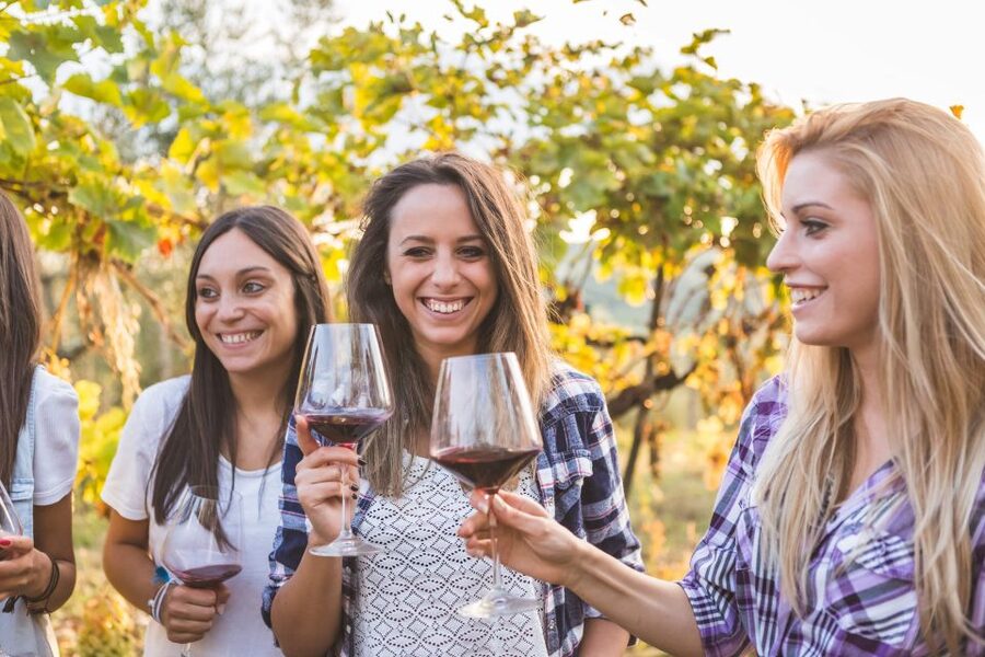 Vineyard Sips: Family Winery Tour & Gourmet Tasting in Corfu - Wine Pairing That Makes the Snacks Worth It