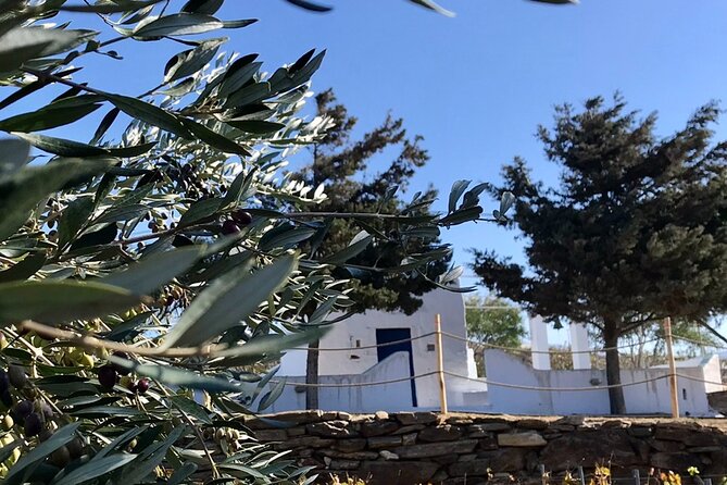 Wine Tasting and Tour in Saint Anna Winery in Naxos - Group size and guide style: what max 20 really means for your experience