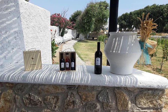 Wine Tasting Tour at a traditional farm in Mykonos - The ride inland: getting from Hora to Ano Mera without thinking about logistics