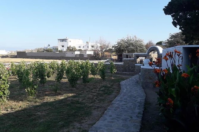 Wine Tasting Tour at a traditional farm in Mykonos - Snack pairing at the farm: local products that make the tasting easier