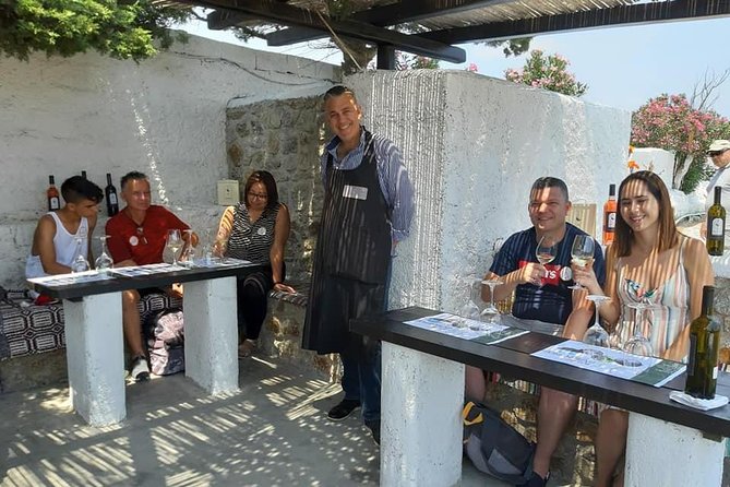 Wine Tasting Tour at a traditional farm in Mykonos - Price and value: what $90.70 really buys in Mykonos