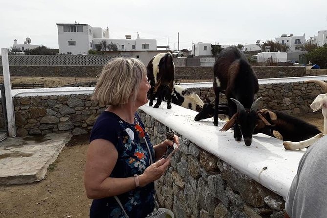 Wine Tasting Tour at a traditional farm in Mykonos - The farm experience factor: animals, vines, and setting expectations
