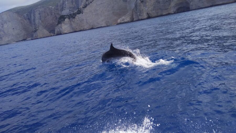 Zakynthos: early morning Shipwreck,Blue Caves and view point - Porto Vromi to Navagio: small boat energy and close-to-shore shipwreck photos